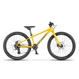Dětské kolo BEANY BLASTER XC 20 GOLD