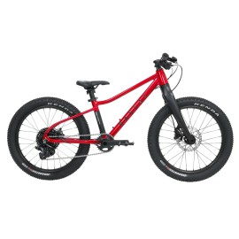 Dětské horské kolo RASCAL WILD 20