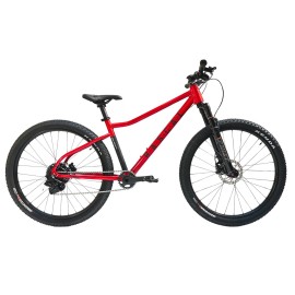 Dětské horské kolo RASCAL Wild 26